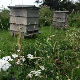 Bee hives as art